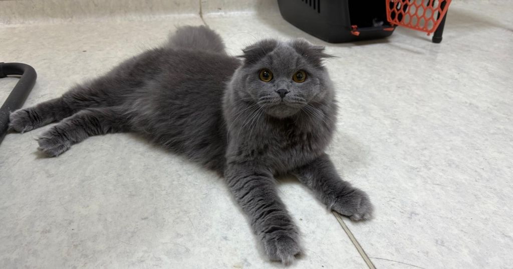 515135200 1158770179613505 8329581608086422680 n - Marmara Bölge Gazetesi