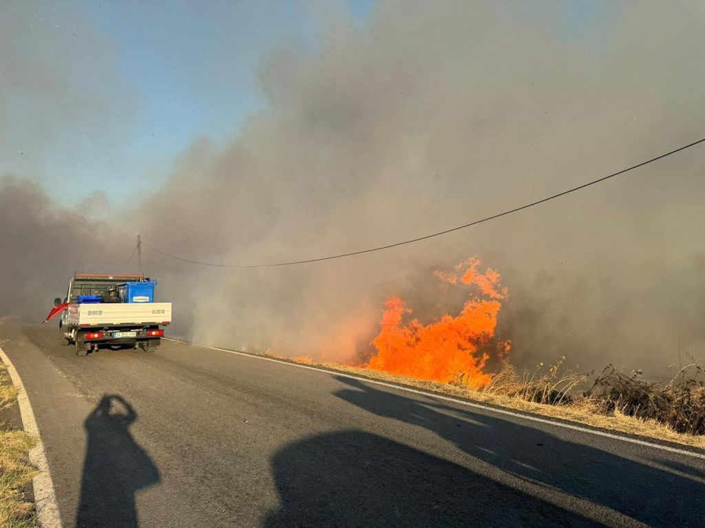 Burhaniye’de BAÇEM yanındaki otluk alanda çıkan yangın, ekiplerin hızlı müdahalesi