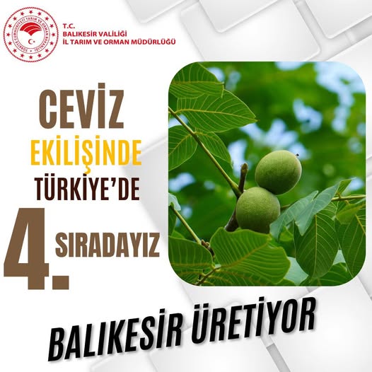 515921935 1134276665409861 3387467622778191264 n - Marmara Bölge Gazetesi