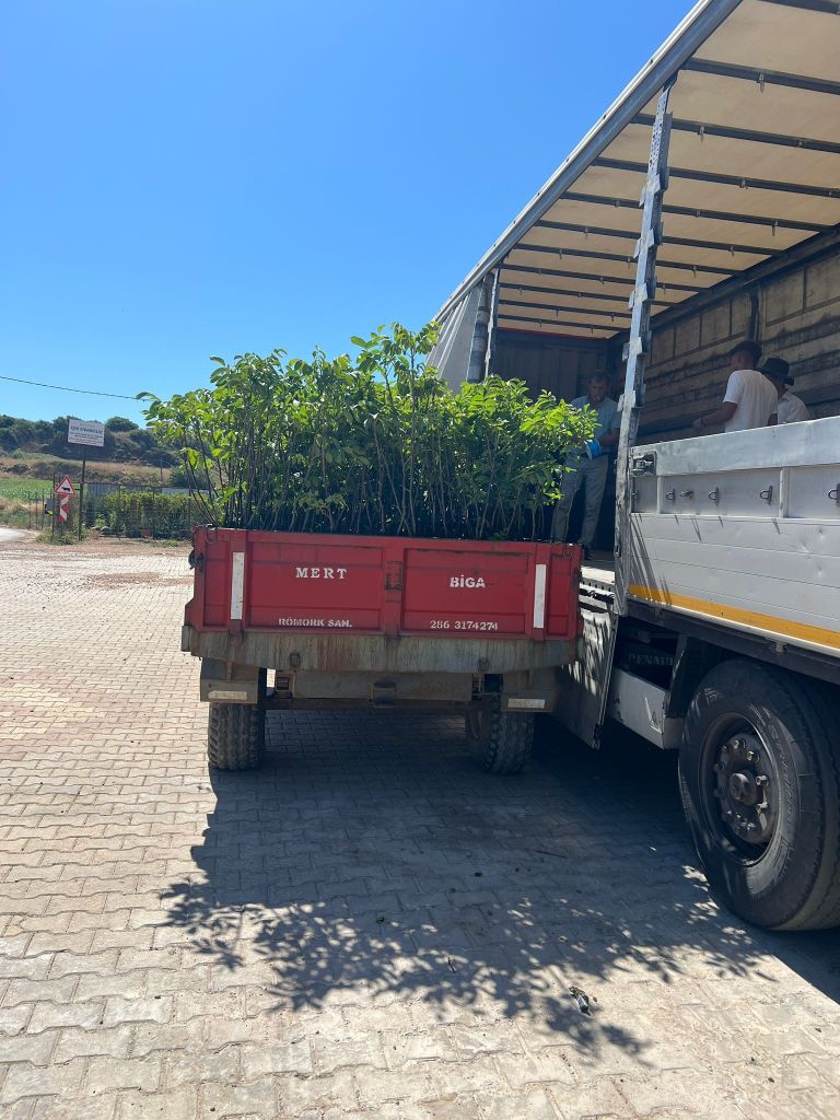 516097416 1132627055574822 1116628548897232985 n - Marmara Bölge Gazetesi