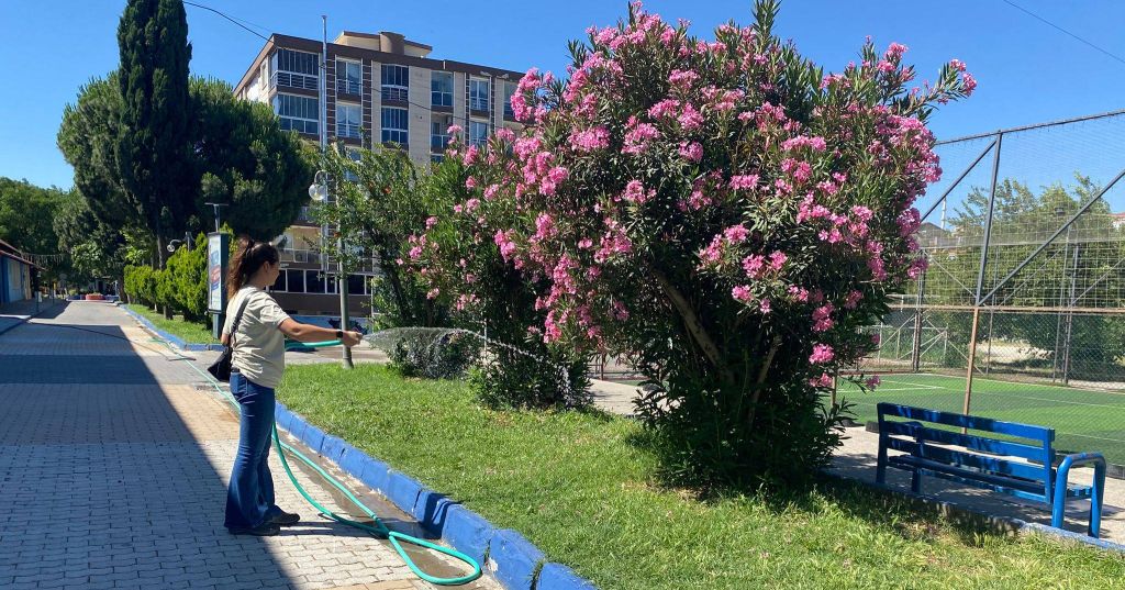 Susurluk Belediyesi, ilçe genelinde temizlik ve çevre düzenlemelerine ara vermeden