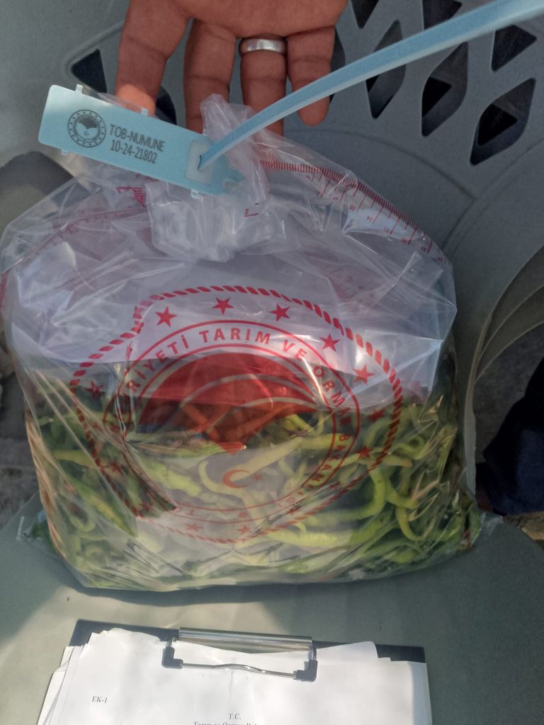 517361428 122169817604348033 7890547144355835260 n - Marmara Bölge Gazetesi