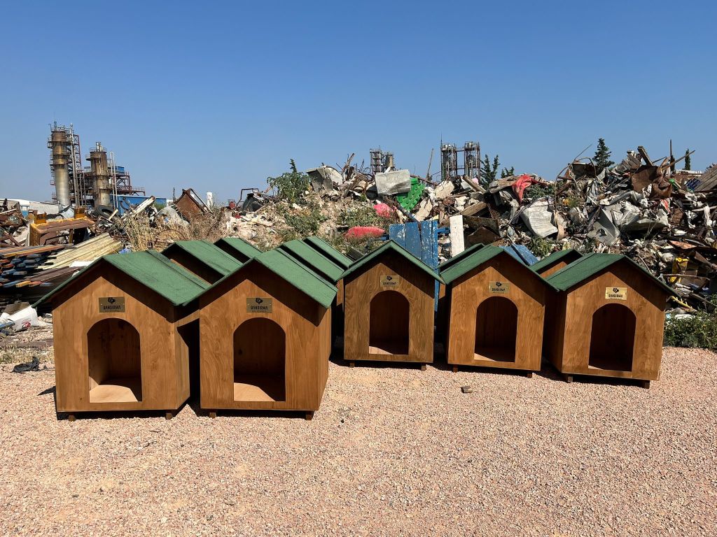 517401529 1277329653749385 8684361090106554433 n - Marmara Bölge Gazetesi