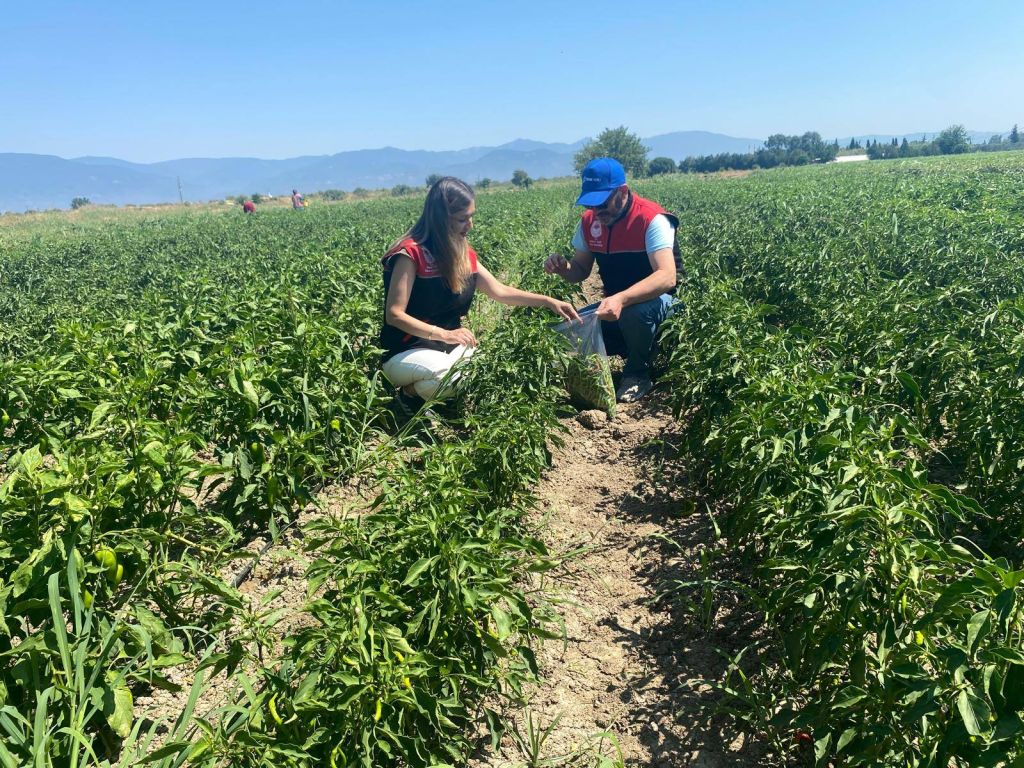 517409261 122169817448348033 7800519950282722353 n - Marmara Bölge Gazetesi