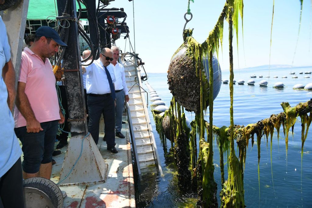 Balıkesir’de Denizden Altın Fışkırıyor! 520239577 1150460903783624 4907695046914518713 n - Marmara Bölge Gazetesi