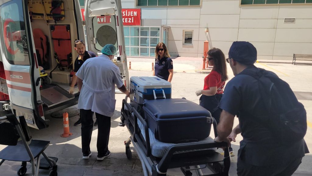 521543762 742351281833093 416328249648415913 n - Marmara Bölge Gazetesi