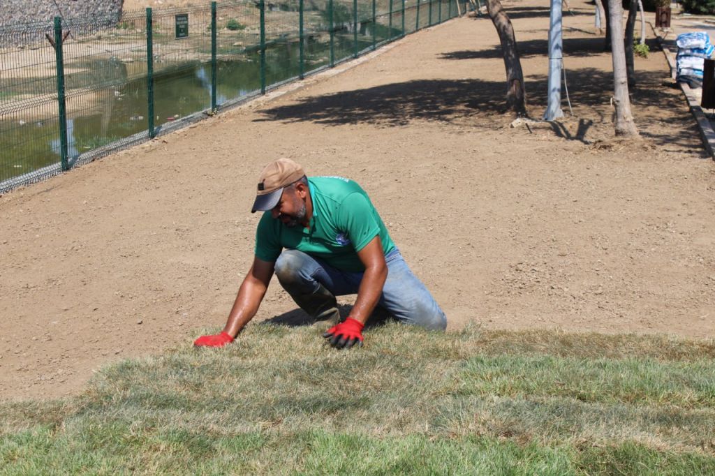 522655837 754698510254510 3571701017384635506 n - Marmara Bölge Gazetesi