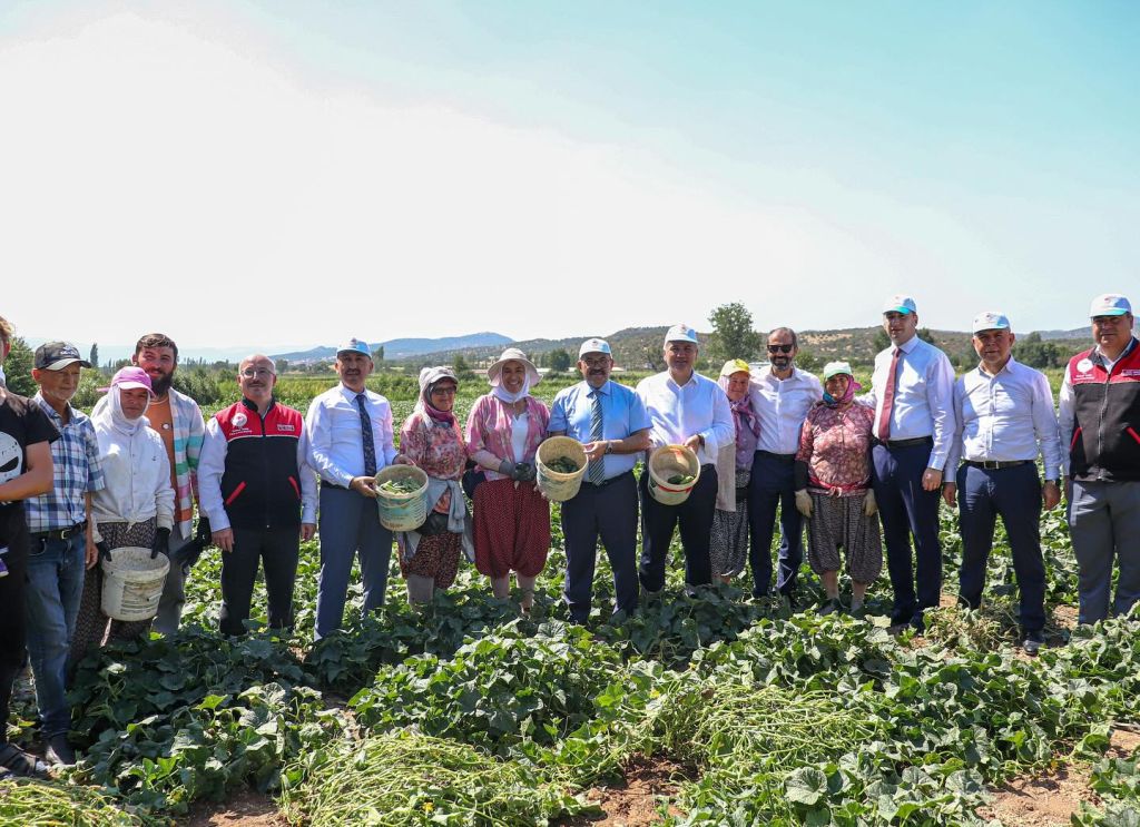 Sındırgı’nın Yeşil Altını Dünyaya İhraç Ediliyor 524753937 18521716942049268 3920395172332549245 n - Marmara Bölge Gazetesi