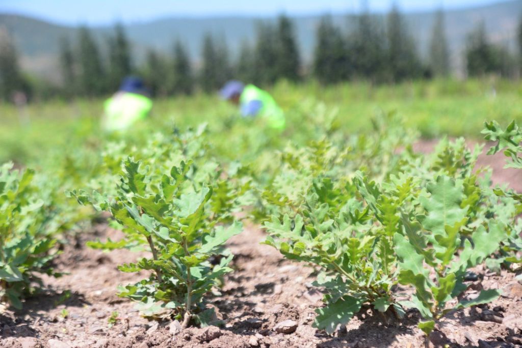 525018446 1203592855142384 7222390390094193301 n - Marmara Bölge Gazetesi