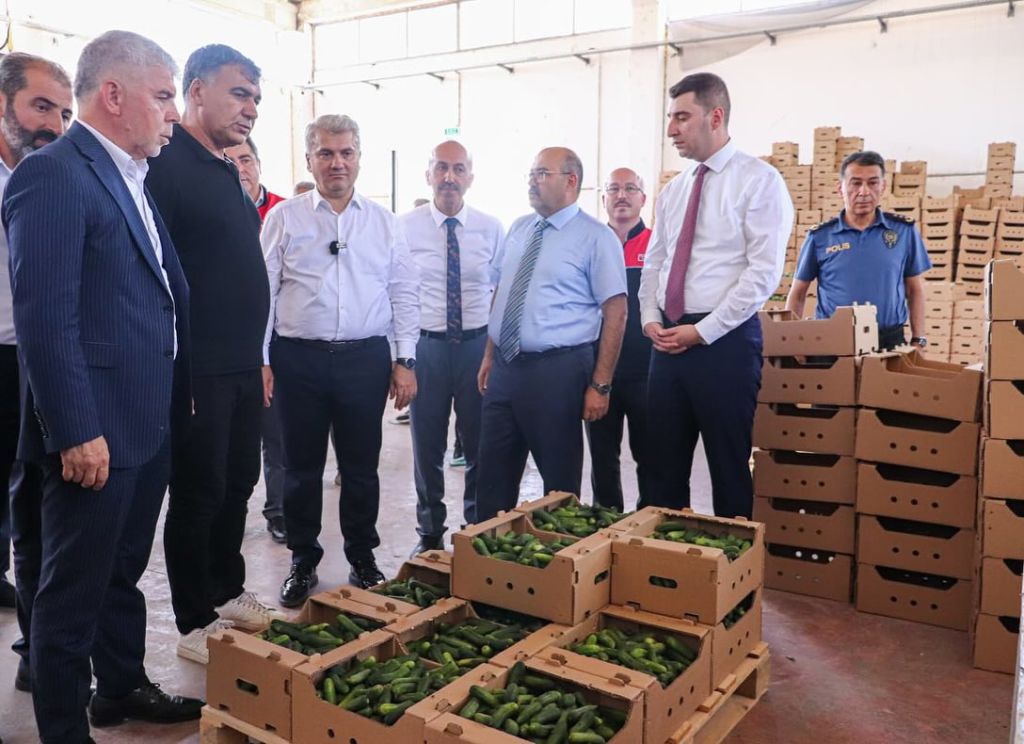 Sındırgı’nın Yeşil Altını Dünyaya İhraç Ediliyor 525440214 18521717005049268 1156205398227686262 n - Marmara Bölge Gazetesi