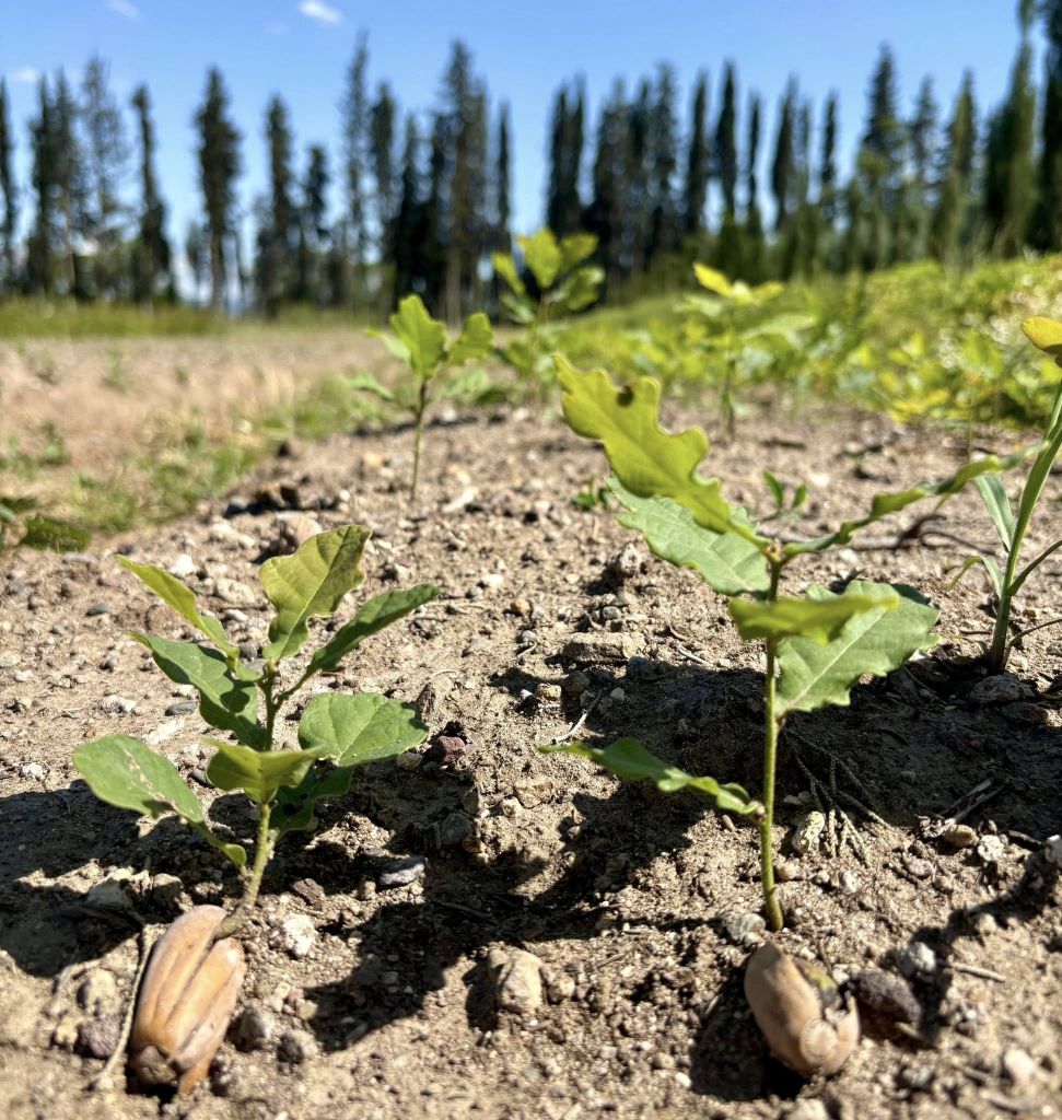 525790500 1203592755142394 9076269662837282141 n - Marmara Bölge Gazetesi