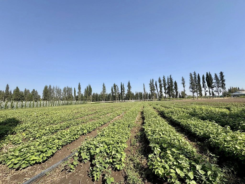 525986468 1203592751809061 8937198210243025141 n - Marmara Bölge Gazetesi