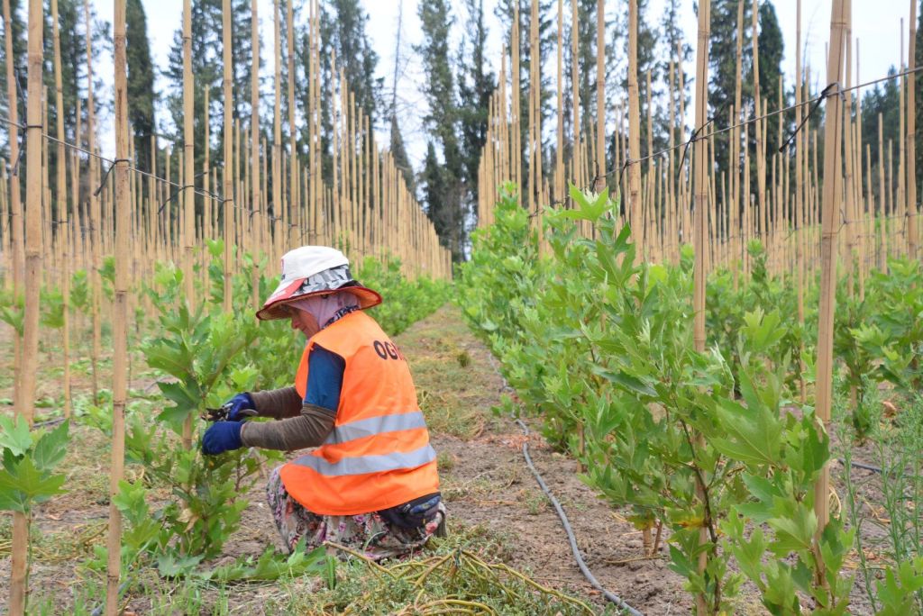 526290266 1203592841809052 7560932936057757991 n - Marmara Bölge Gazetesi
