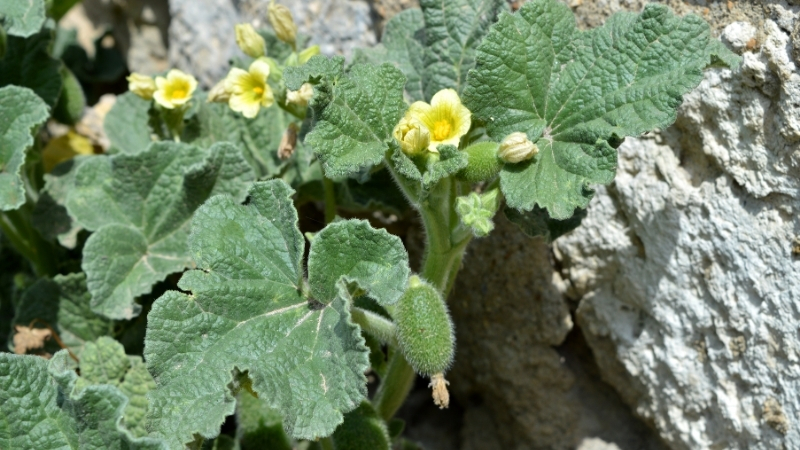 6 2 - Marmara Bölge Gazetesi