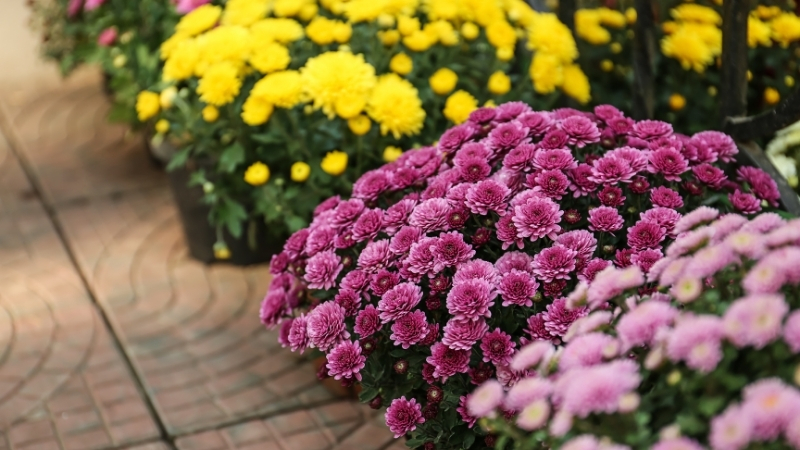 6 24 - Marmara Bölge Gazetesi