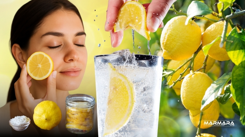 Prof. Dr. Canan Karatay limonun sadece C vitamini deposu değil,