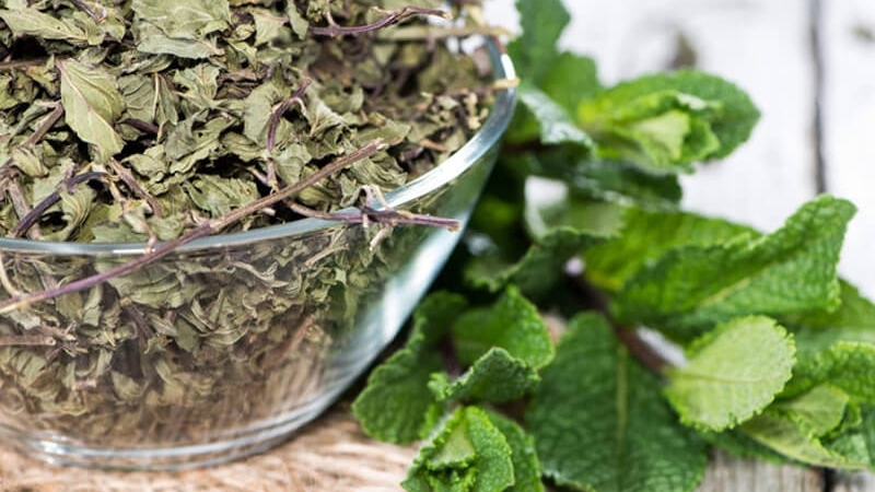 6 3 - Marmara Bölge Gazetesi