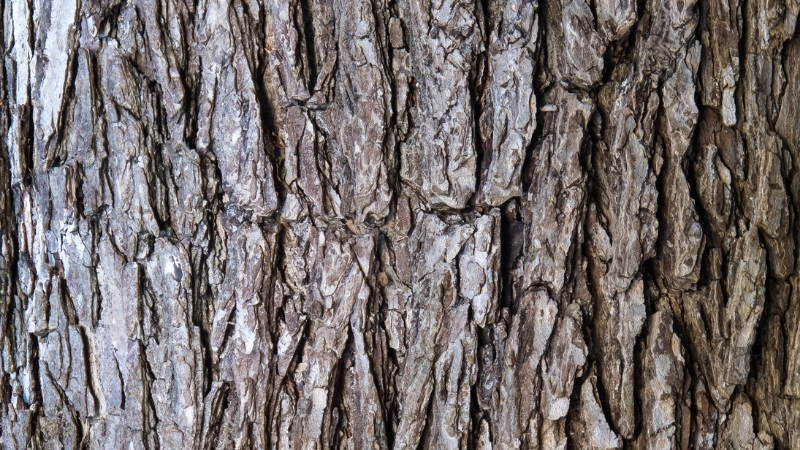 6 9 - Marmara Bölge Gazetesi