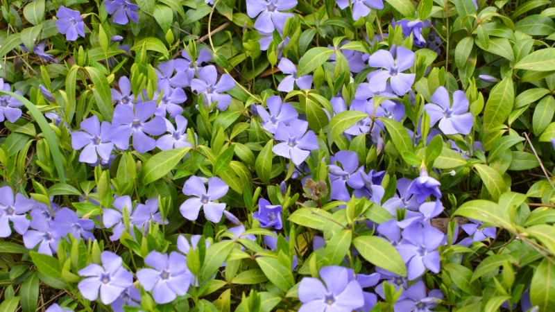 6 - Marmara Bölge Gazetesi