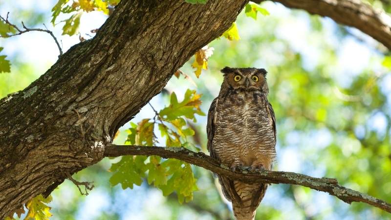 62 1 - Marmara Bölge Gazetesi