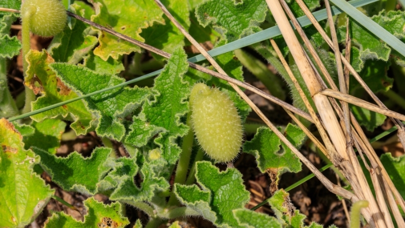 7 1 - Marmara Bölge Gazetesi