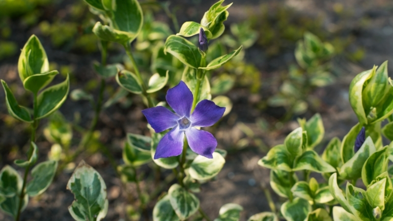 7 - Marmara Bölge Gazetesi