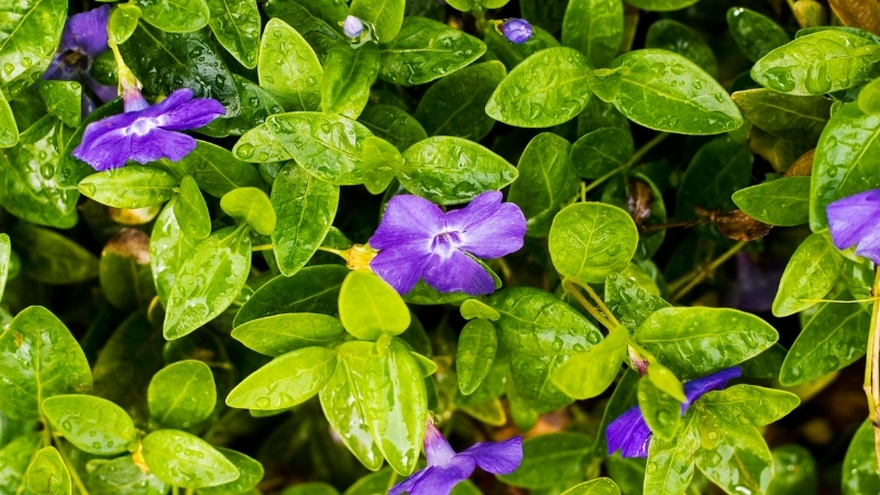 9 - Marmara Bölge Gazetesi