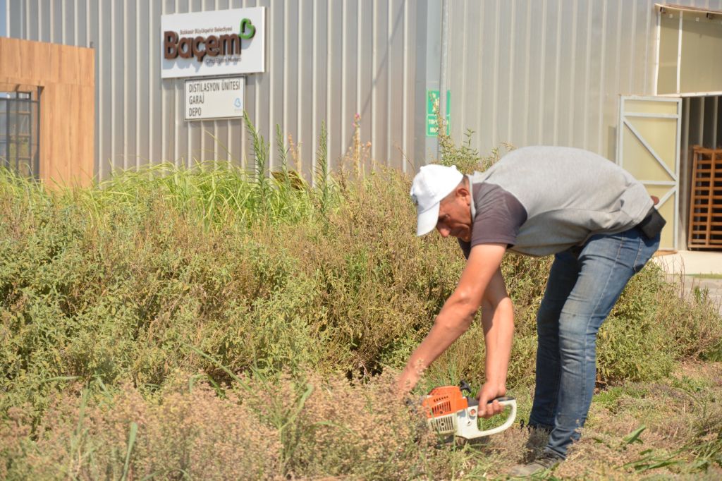 Balıkesir’den Yayılan Aromatik Dalga 96107664 bcb6 4443 afe0 cb89d3de78bb - Marmara Bölge Gazetesi