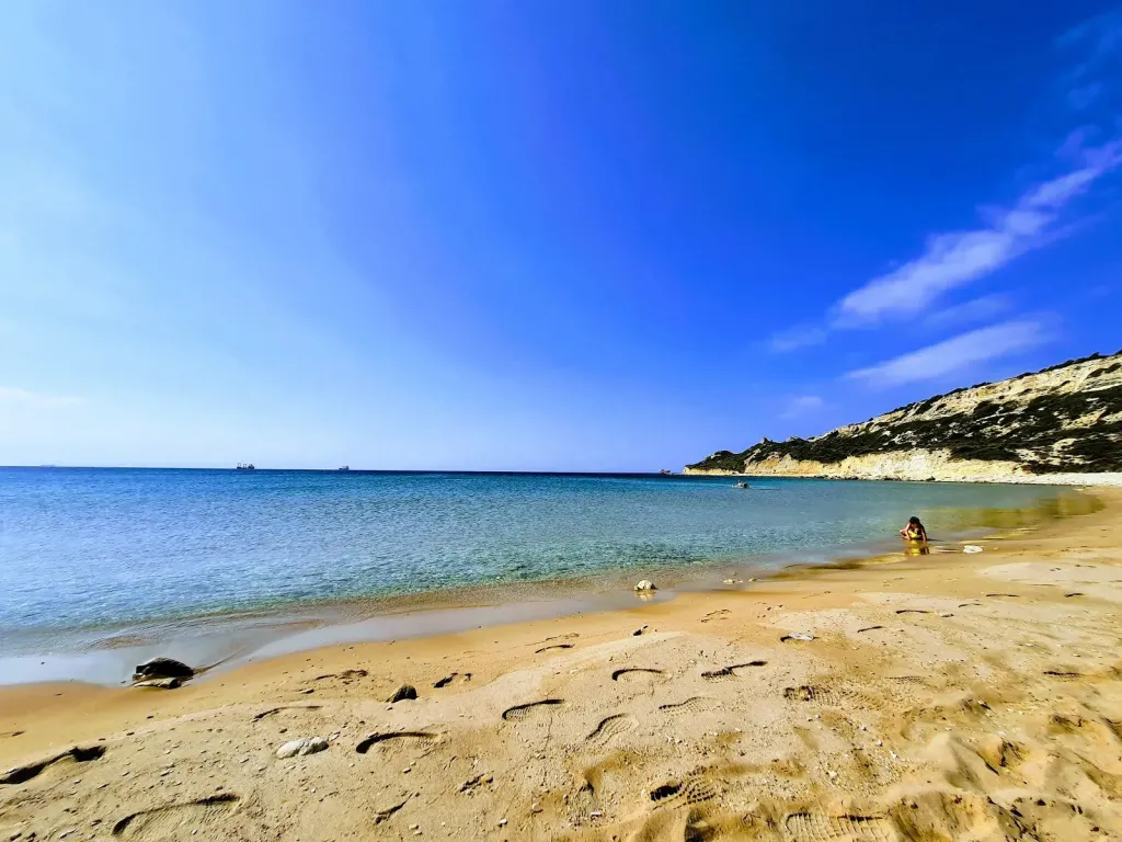 AF1QipOhez1uCjsihxYpHwkWX8itYXboxkkDQwdWVGvUs1600 k no - Marmara Bölge Gazetesi