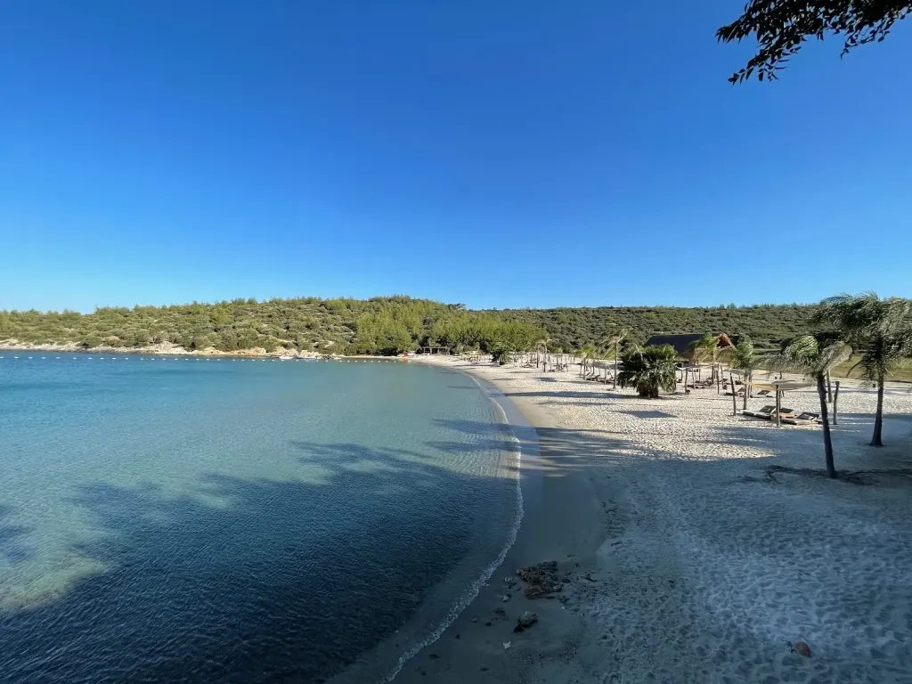 AF1QipOv9H25dIdBjalmFeNqnFDVNVX8T3YPRaNxkz9Ts1600 k no 1 - Marmara Bölge Gazetesi