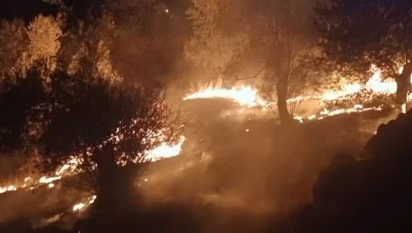 Balıkesir’in Edremit ilçesinde zeytinlik alanda çıkan yangın, ekiplerin ve gönüllülerin