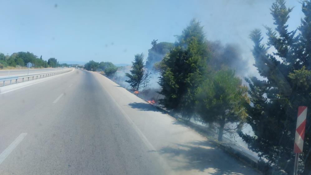 AW490832 06 - Marmara Bölge Gazetesi