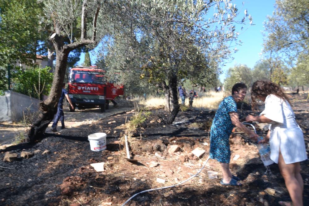Ayvalık’ta Zeytinlik Alevlere Teslim Oldu AW493812 09 - Marmara Bölge Gazetesi