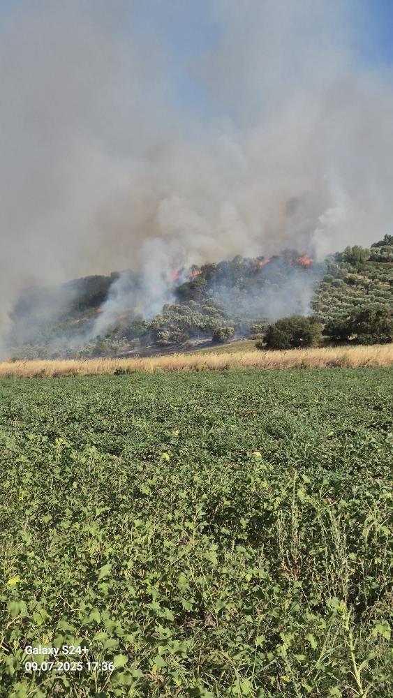 Bandırma’da Yangın Kabusu! AW493872 02 - Marmara Bölge Gazetesi