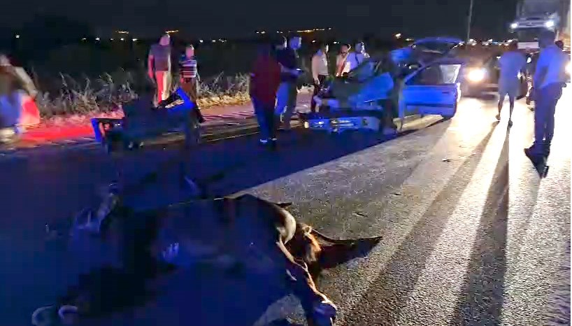 Burhaniye'de Şok Kaza! Otomobil Ters Yönden Gelen At Arabasına Çarptı AW496119 03 - Marmara Bölge Gazetesi