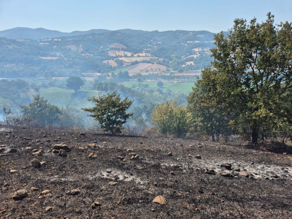 Balıkesir’in Gönen ilçesinde Kumköy ile Ilıca Mahallesi arasında çıkan arazi