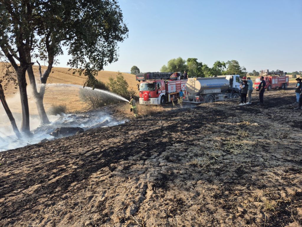 AW498038 01 - Marmara Bölge Gazetesi