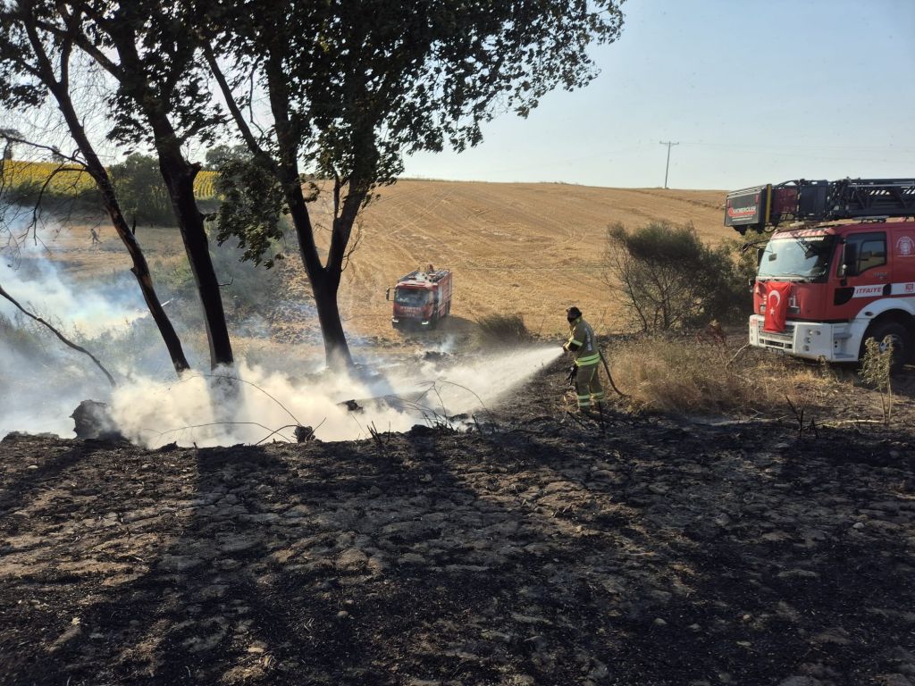 AW498038 02 - Marmara Bölge Gazetesi