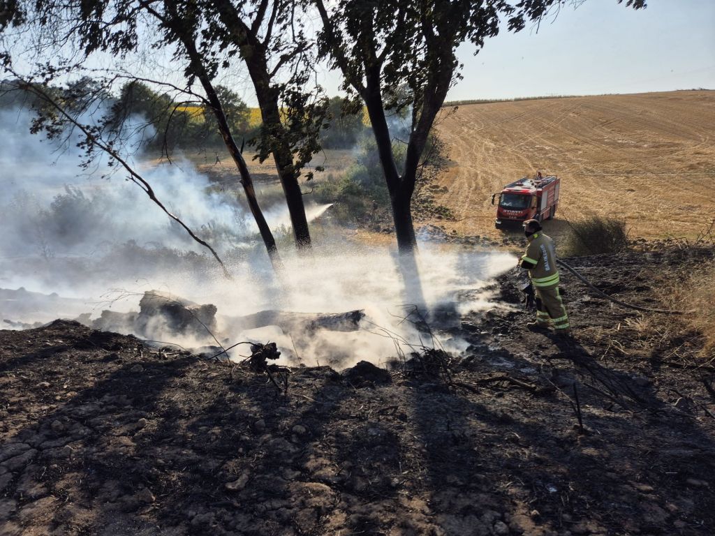 Balıkesir’in Gönen ilçesine bağlı Saraçlar Mahallesi kırsalında çıkan arazi yangını,