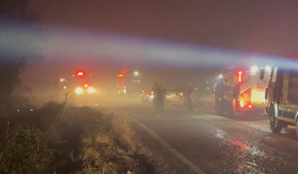 Balıkesir’in Altıeylül ilçesinde öğle saatlerinde başlayan orman yangını, şiddetli rüzgarın