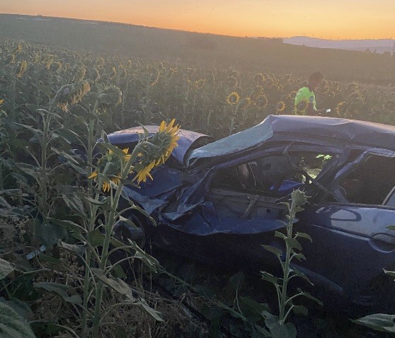 AW500666 01 1 - Marmara Bölge Gazetesi