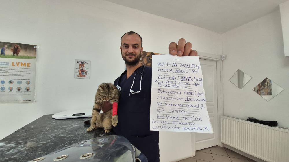 Veteriner Kapısına Bırakılan Kediden Dram Çıktı AW501588 01 - Marmara Bölge Gazetesi