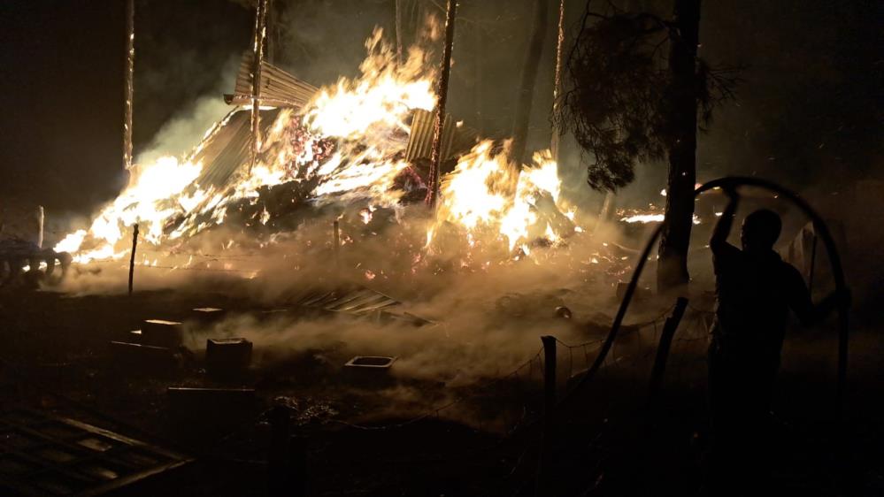 Sakarya'da çıkan ve Bilecik'e sıçrayan orman yangını henüz kontrol altına