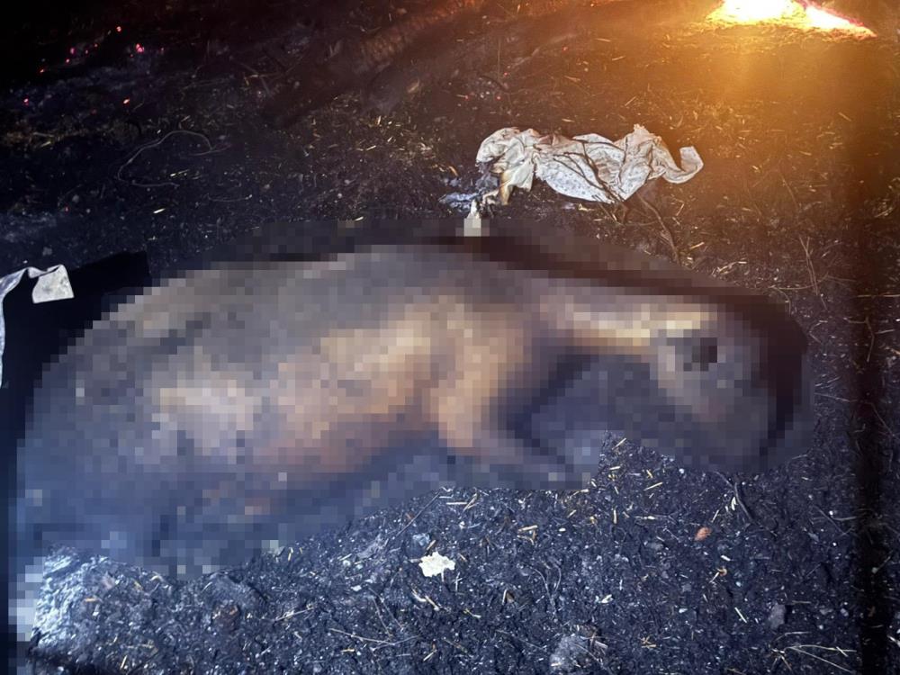 AW501830 02 - Marmara Bölge Gazetesi