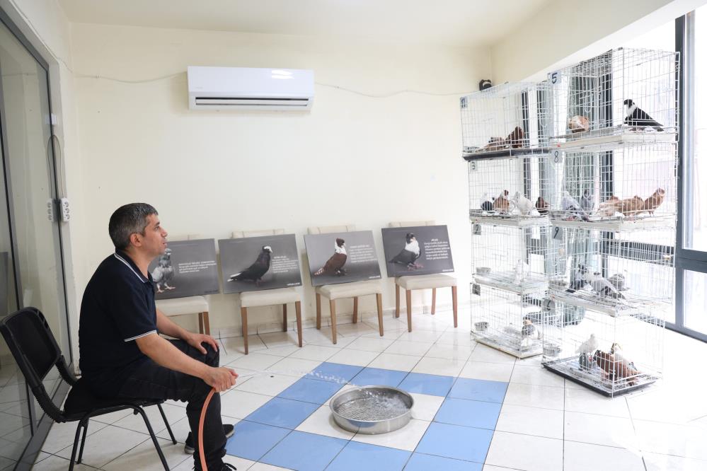 Milyonluk Kuşlara Özel Konaklama! AW507972 10 - Marmara Bölge Gazetesi