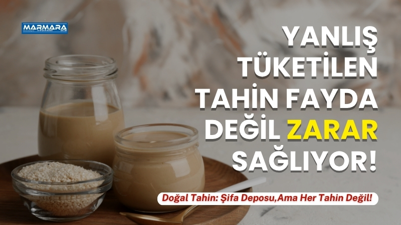 Balıkesirli üreticilere çağrıda bulunan Karatay, Toroslar ve Antakya gibi yerlerde