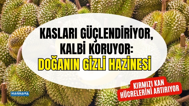 Balıkesir’de henüz çok bilinmese de, bu tropikal meyve faydalarıyla gündeme