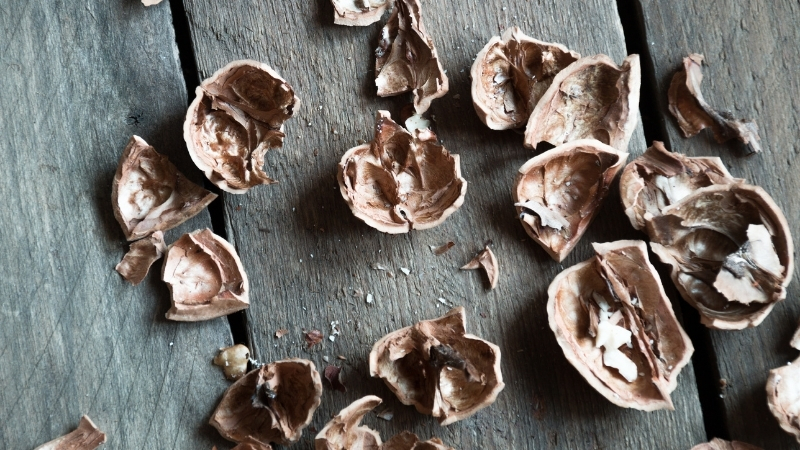 Ceviz Kabuğu Suyunun Faydaları Saymakla Bitmiyor Adsiz tasarim 2 8 - Marmara Bölge Gazetesi