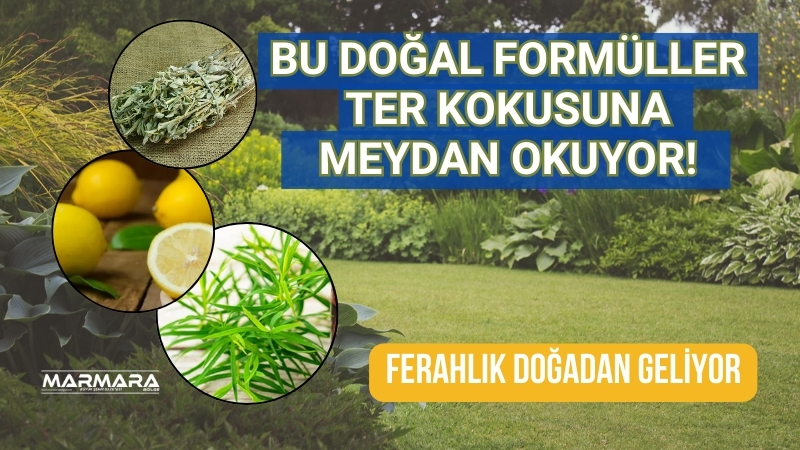 Kimyasal içerikli ürünlere para harcamadan da ter kokusuna veda etmek