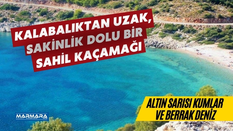 Çam ağaçlarının gölgesinde, berrak ve sakin deniziyle huzurun adresi Ovabükü
